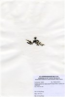 藏品(棒型總狀蕨藻)的圖片